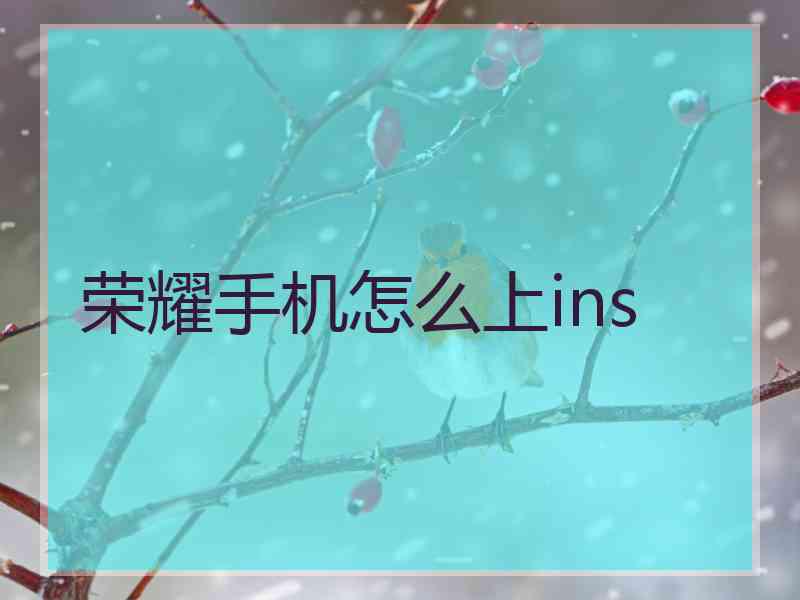 荣耀手机怎么上ins