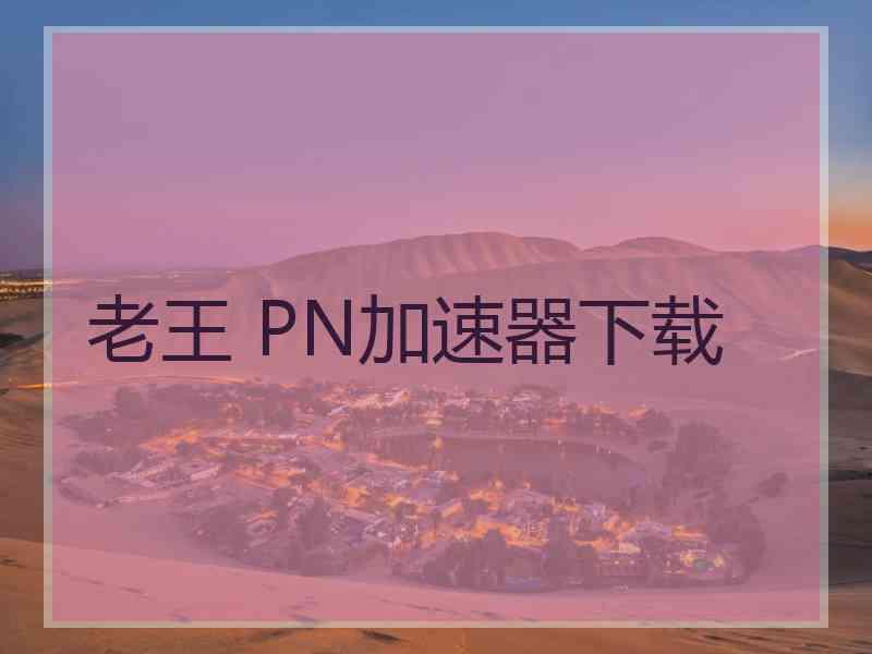 老王 PN加速器下载