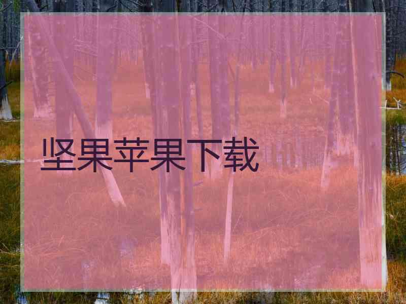 坚果苹果下载