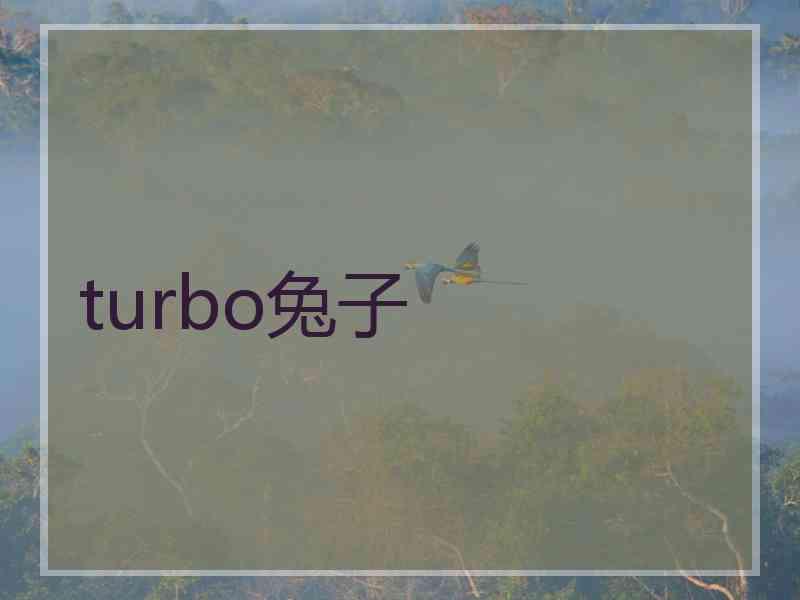 turbo兔子