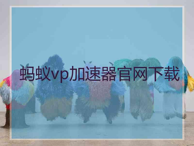 蚂蚁vp加速器官网下载