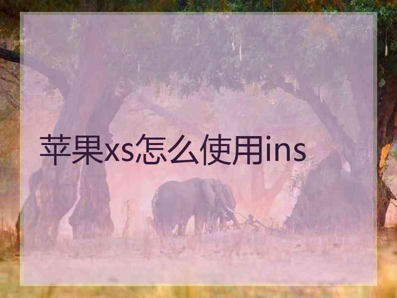 苹果xs怎么使用ins