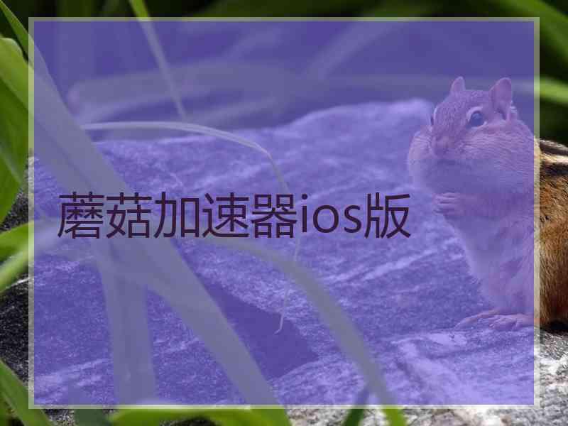 蘑菇加速器ios版