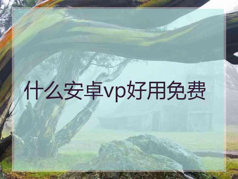 什么安卓vp好用免费