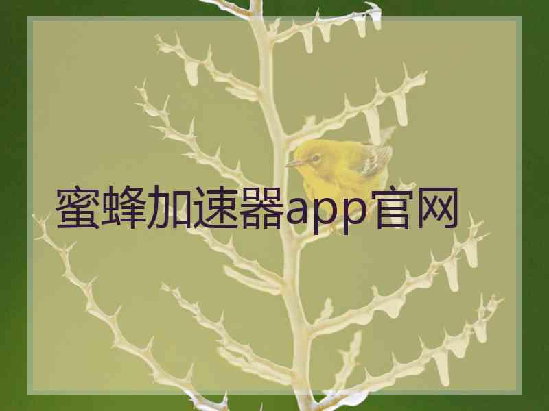 蜜蜂加速器app官网