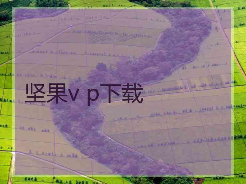 坚果v p下载