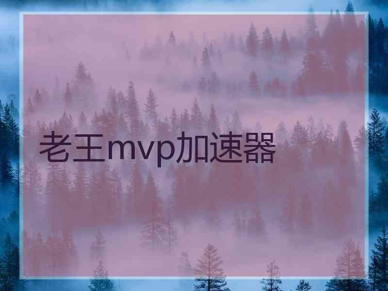 老王mvp加速器