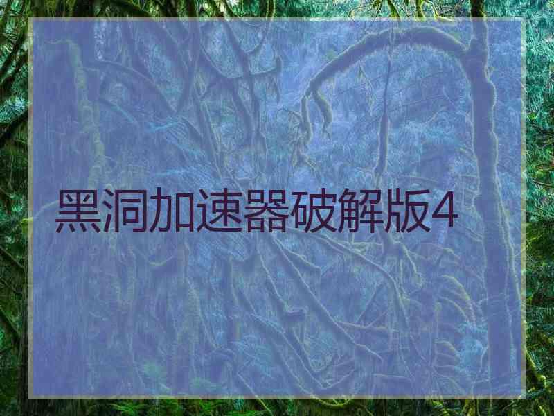 黑洞加速器破解版4