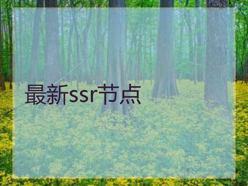 最新ssr节点