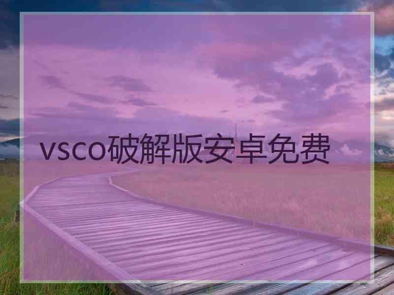 vsco破解版安卓免费