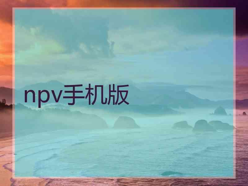 npv手机版