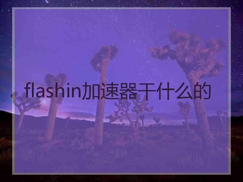 flashin加速器干什么的