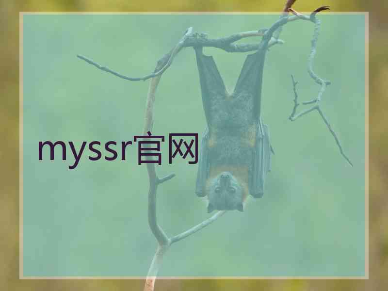 myssr官网