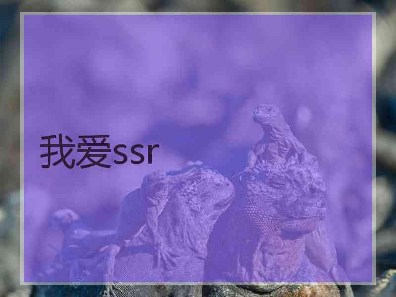 我爱ssr