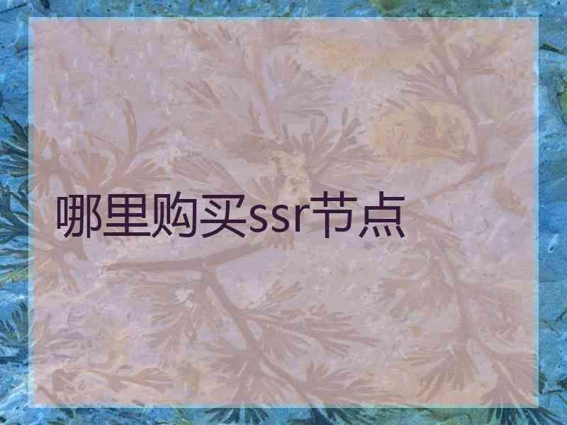 哪里购买ssr节点