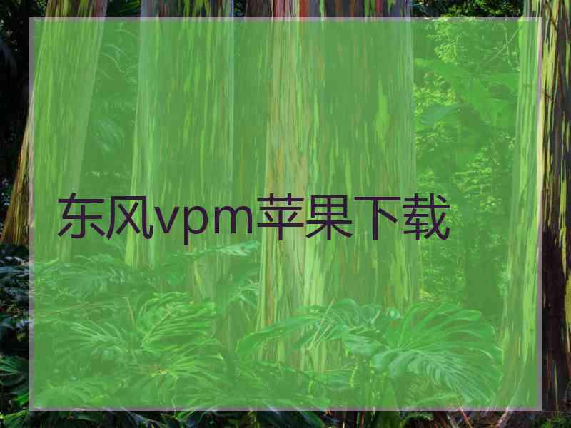 东风vpm苹果下载