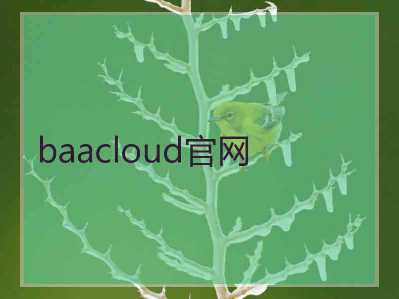 baacloud官网