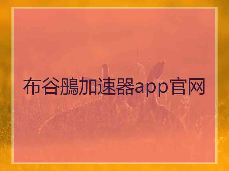 布谷鴅加速器app官网