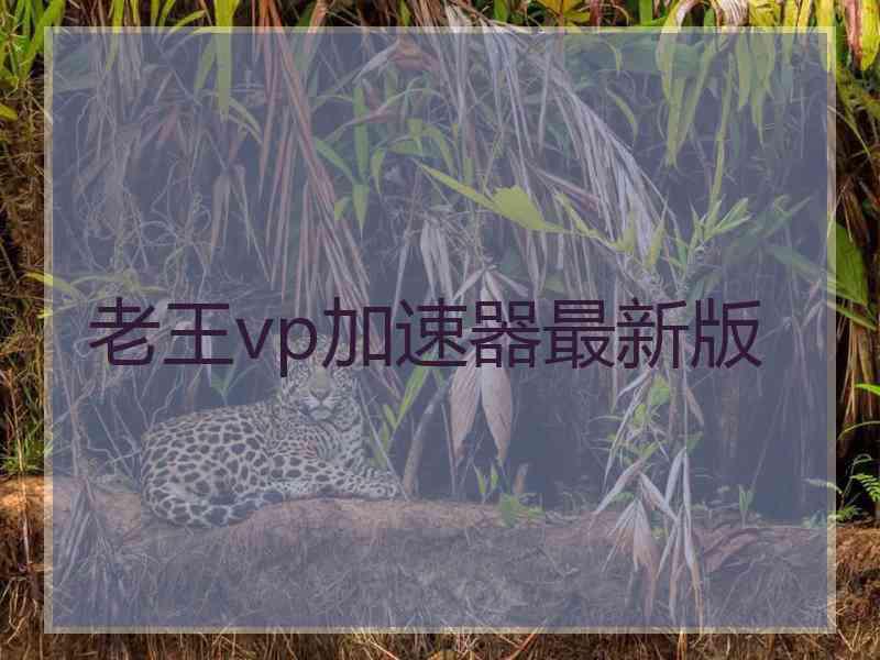 老王vp加速器最新版