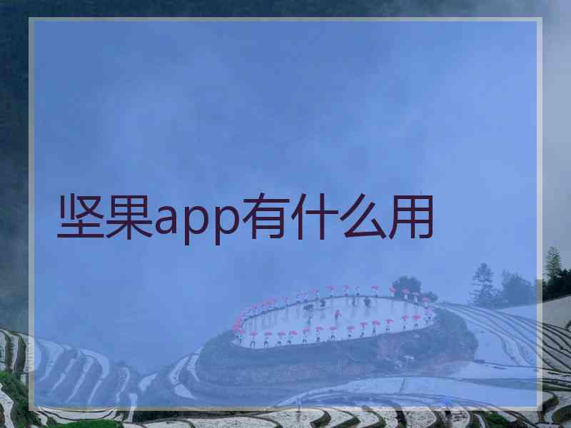 坚果app有什么用