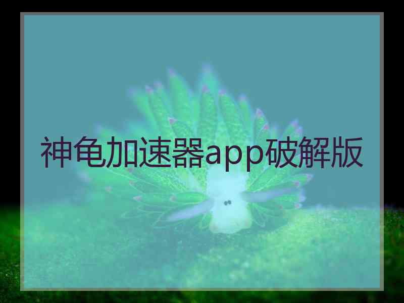 神龟加速器app破解版