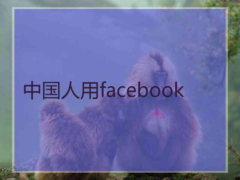 中国人用facebook