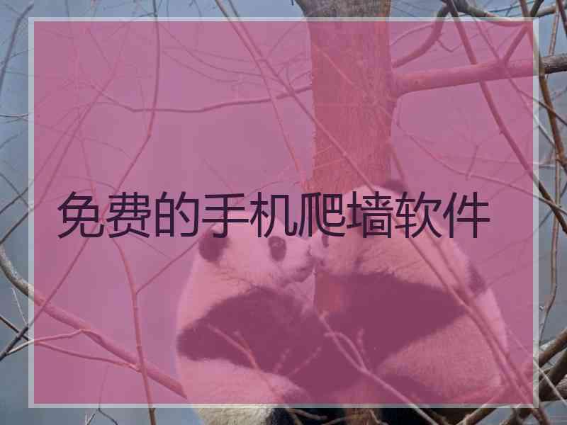 免费的手机爬墙软件