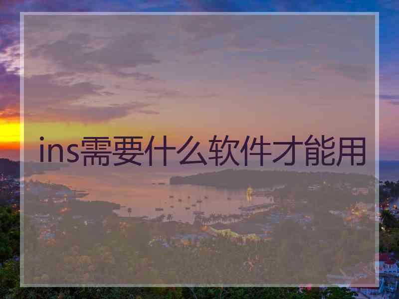 ins需要什么软件才能用