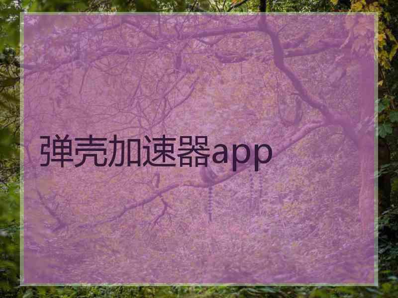 弹壳加速器app